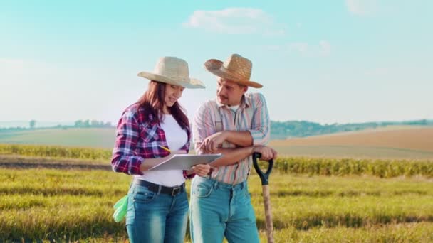 Two farmer engineers wearing hat examining plants and controlling water system in the field while standing and discussing during the looking at the tablet. Organic farm business concept — Stock Video