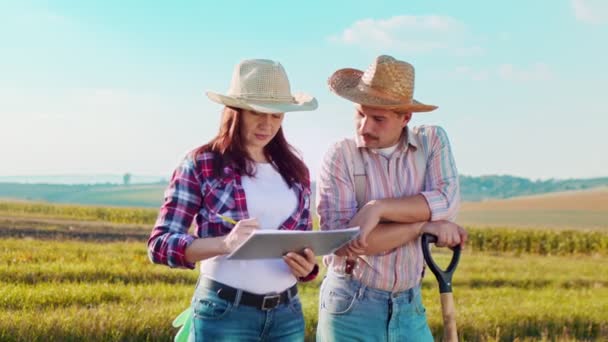 Teljes hosszúságú nézet a női mezőgazdasági termelő szakértő böngésző tabletta számítógépes alkalmazások vizsgálata közben szántóföldi növények férfi kollégájával — Stock videók