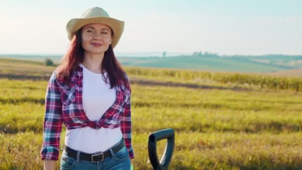 밝은 하늘 배경에 황금빛밀 밭 이 있는 카메라를 보고 있는 행복 한 암컷의 모습. 농사의 개념 — 비디오