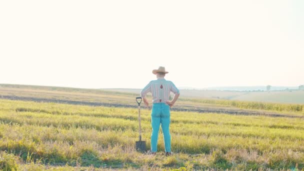 Man agronomist boer in gouden tarweveld bij zonsondergang. Man kijkt naar de oren van tarwe, achteraanzicht. De landbouwer inspecteert een veld rijpe tarwe — Stockvideo