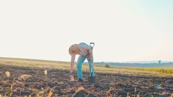 Естественное органическое земледелие. Человек фермер, касающийся земли на поле. Фермер удерживает и выливает органическую почву — стоковое видео