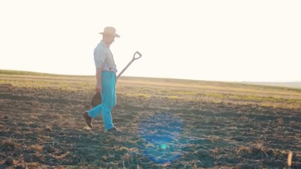 Agricultor indo ao longo do campo com terra. Trabalhador do sexo masculino que trabalha na hora de verão. Conceito de empresa agrícola e de agricultura — Vídeo de Stock