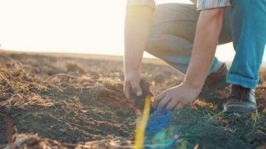 Yaz boyunca toprağı incelerken erkek ellerinin tarımsal bir alanda kuru toprağa dokunması.