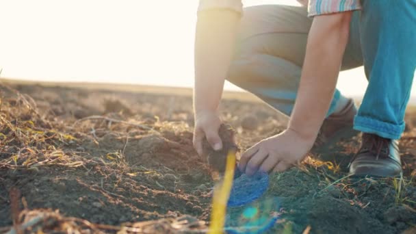 Yaz boyunca toprağı incelerken erkek ellerinin tarımsal bir alanda kuru toprağa dokunması. — Stok video