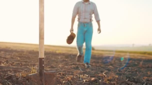 Ritratto di attraente uomo caucasico in berretto in piedi in campo verde, sorridente allegramente alla macchina fotografica e sensazione di gioia. Maschio contadino con sorriso all'aperto in estate — Video Stock
