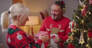Neşeli, son sınıf Kafkas çifti koca evde sevgili karısına Noel hediyesi veriyor ve yeni yıl kutlaması için Noel oyuncağıyla ağaç süslüyor. Mutlu Noeller.