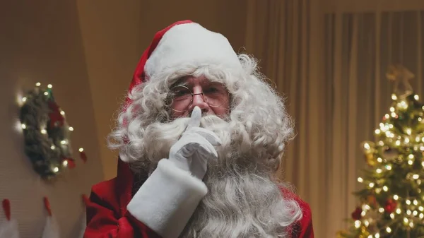 Retrato de Papai Noel alegre shushing com o dedo usando um chapéu, de pé na frente da lareira e uma árvore de Natal. Espírito de Natal, feriados e celebrações conceito. — Fotografia de Stock