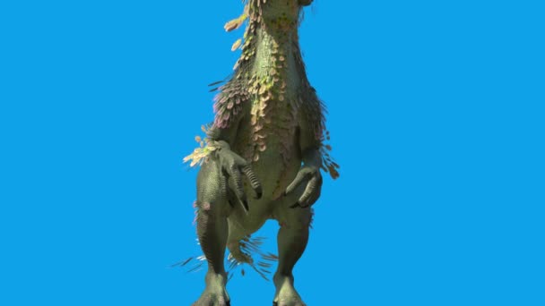 Feathered Dinosaur Trex Spis Blå Skjerm Gjengivende Animasjon – stockvideo