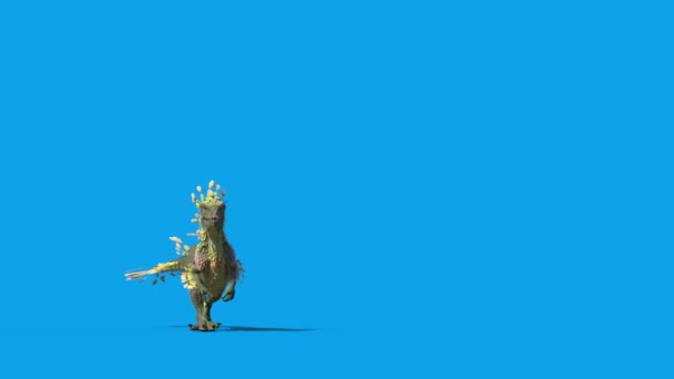 Dinossauro Penas Trex Anda Tela Azul Frente Renderização Animação — Vídeo de Stock