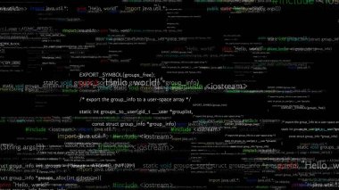 Gelecekteki yazılımların vizyoner programlama ve kodlaması