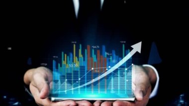 Mali veri analizi için kavramsal iş konsolu