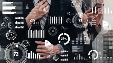 Mali veri analizi için kavramsal iş konsolu