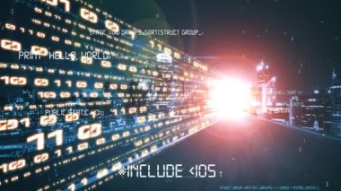 Yazılım geliştirme, uygulama programlama kodu ve gizli bilgisayar kodlaması