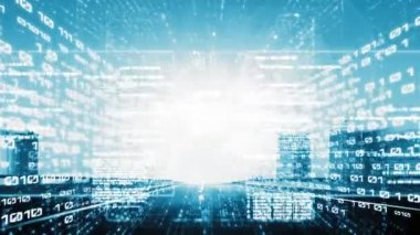 Yazılım geliştirme, uygulama programlama kodu ve gizli bilgisayar kodlaması