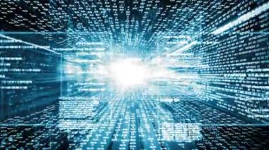 Yazılım geliştirme, uygulama programlama kodu ve gizli bilgisayar kodlaması