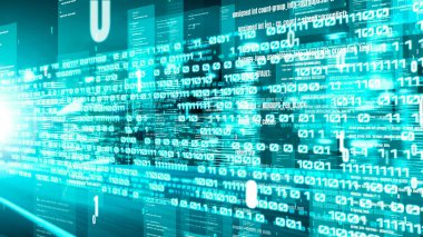 Yazılım geliştirme, uygulama programlama kodu ve gizli bilgisayar kodlaması