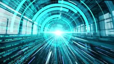 Yazılım geliştirme, uygulama programlama kodu ve gizli bilgisayar kodlaması