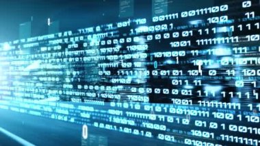 Yazılım geliştirme, uygulama programlama kodu ve gizli bilgisayar kodlaması
