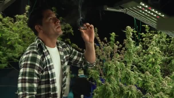 Marihuanabauer Der Einer Heilenden Marihuana Farm Einen Joint Zur Erholung — Stockvideo