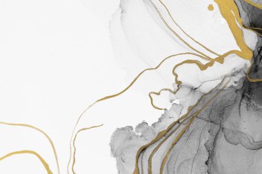 Marble ink abstract art from meticulous original painting abstract background . Painting was painted on high quality paper texture to create smooth marble background pattern of ombre alcohol ink .