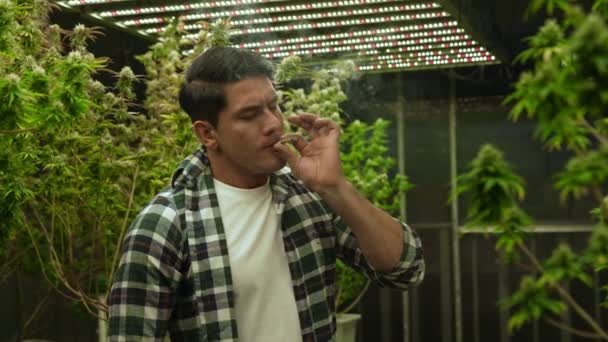 Marijuana Farmer Smoking Rolled Marijuana Weed Joint Curative Marijuana Farm — Vídeo de stock