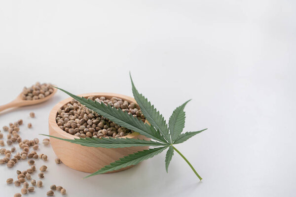 Семена конопли с зеленым листком конопли сативы сверху. Легализованная марихуана. Пустой фон для копирайта.