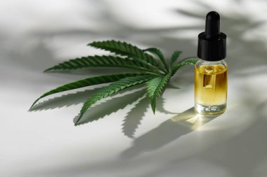 İçinde CBD yağı olan marihuana özellikleri olan cam şişe kapağı, kenevir yaprağı ve kuru tomurcuk, boş arkaplanda kenevir yaprağı ve tomurcuk. Esrar ürün kavramı.