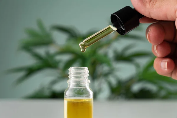 Cannabis Sativa Hennepblad Met Container Cbd Olie Met Druppeldeksel Witte — Stockfoto