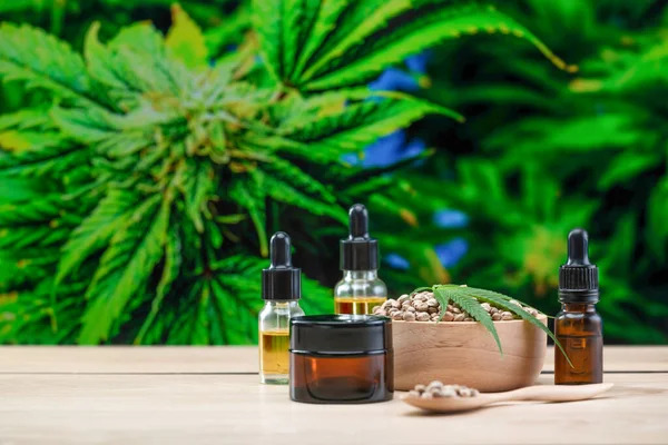 The concept of combining legalized cannabis and dermatology. CBD oil in bottle with dropper lid, mockup cream jar for skincare purpose.