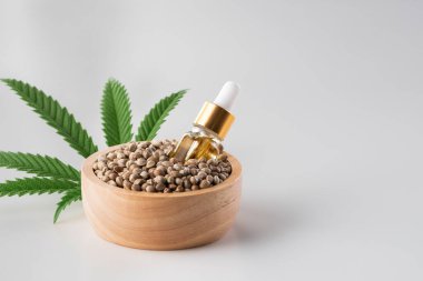 Üzerinde yeşil sativa kenevir yaprağı olan kenevir tohumları. Yasal marihuana konsepti. Kopyalama alanı için boş arkaplan.