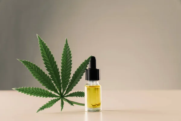 Hoja Cáñamo Cannabis Sativa Con Recipiente Aceite Cbd Con Tapa — Foto de Stock