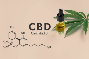 Beyaz bir zemin ve biyokimya formülü olan altıgen resimde izole edilmiş, damlatan kapaklı cam bir şişedeki CBD yağı, yasallaştırılmış marihuana özütleri kavramını temsil ediyor..