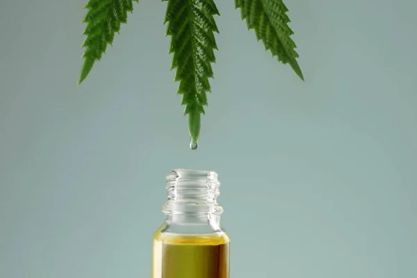 オープンボトルの上の葉の先端にCbd油の滴と緑の麻の葉のイメージを閉じます 合法化された大麻の概念からのCbd油抽出 — ストック写真