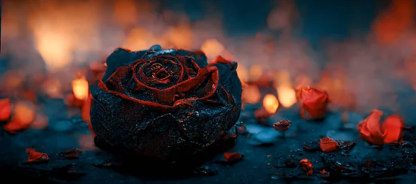 Heartbroken Concept Half Burnt Rose Leaving Some Black Ashes Embers — 图库照片