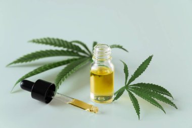 Kenevir sativa kenevir yaprağı ve beyaz arka planda damla kapağı olan CBD yağı. Yasallaştırılmış marihuana kavramı.
