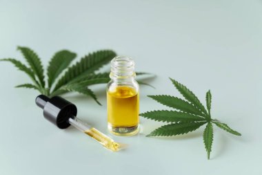 Kenevir sativa kenevir yaprağı ve beyaz arka planda damla kapağı olan CBD yağı. Yasallaştırılmış marihuana kavramı.