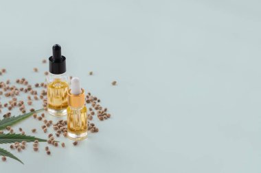 Şişede CBD yağı, damlacık kapağı, sativa yeşil kenevir ve kenevir tohumu bulunan yasallaştırılmış marihuana özellikleri. Copyspace ve reklam için esrar ürünü.