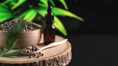 Ahşap kasede bulunan kenevir tohumu bahçedeki yetiştirilmiş kenevir bitkisinin bulanık arka planına sahip yasal yetiştirme tesisinde, kapalı alandaki kenevir tarlasında. Tıbbi amaçlar için kapalı alandaki çiftlikte kenevir tohumu..