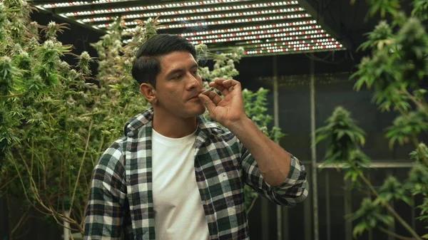Marijuana Farmer Smoking Rolled Marijuana Weed Joint Curative Marijuana Farm — Stockfoto