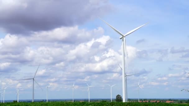 Rüzgarı Yenilenebilir Enerji Kaynağı Olarak Kullanmanın Yenilikçi Yolu Yeşil Tarla — Stok video