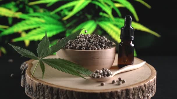Kannabiszmagok Hullanak Bele Pattognak Egy Halom Marihuána Magon Tálban Asztali — Stock videók