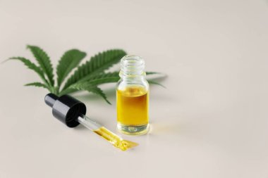 Kenevir sativa kenevir yaprağı ve beyaz arka planda damla kapağı olan CBD yağı. Yasallaştırılmış marihuana kavramı.