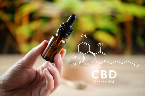 Hands holding a bottle of CBD oil and its dropper lid, with hemp leaf in the backdrop and a hexagon-shaped biochemistry formula. Legalized CBD product for medical purposes.