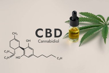 Beyaz bir zemin ve biyokimya formülü olan altıgen resimde izole edilmiş, damlatan kapaklı cam bir şişedeki CBD yağı, yasallaştırılmış marihuana özütleri kavramını temsil ediyor..