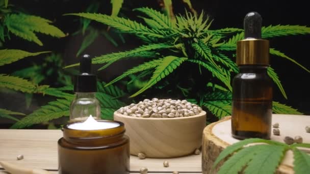 在大麻合法化实验室生产的天然护肤化妆品模型产品 生物多样性公约 大麻籽和保湿奶油罐产品 桌上有大麻植物背景的花园 复制空间 — 图库视频影像
