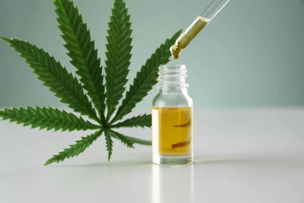 Cannabis Sativa Feuille Chanvre Avec Récipient Huile Cbd Avec Couvercle — Photo