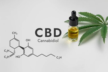 Beyaz bir zemin ve biyokimya formülü olan altıgen resimde izole edilmiş, damlatan kapaklı cam bir şişedeki CBD yağı, yasallaştırılmış marihuana özütleri kavramını temsil ediyor..