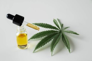 Cannabis sativa hemp leaf with container of CBD oil with dropper lid on white background. Legalized marihuana concept. clipart