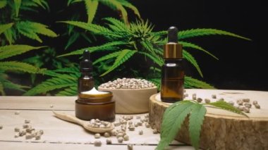 Doğal cilt bakım ürünü. Esrar laboratuarında üretiliyor. CBD yağı, kenevir tohumu ve kenevir bitkisi bahçeli masada nemlendirici krema kavanozu ürünü. Kopyalama alanı