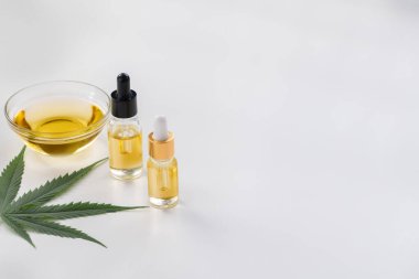 Cam kase ve bir şişe CBD yağı, kenevir tomurcuğu ve kenevir yaprağı beyaz arka planda gösterilir. Esrardan yasallaştırılmış yağ özü kavramı.